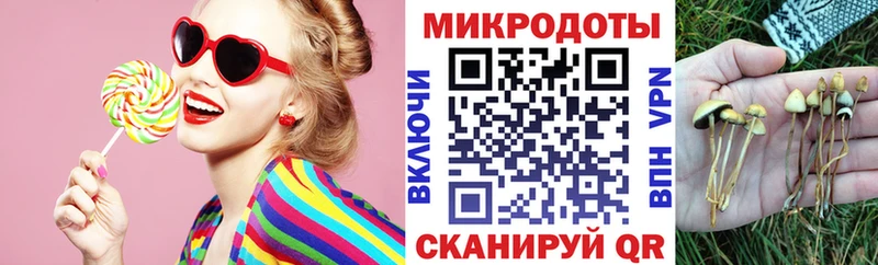 Псилоцибиновые грибы мухоморы  купить наркоту  Нижнекамск 