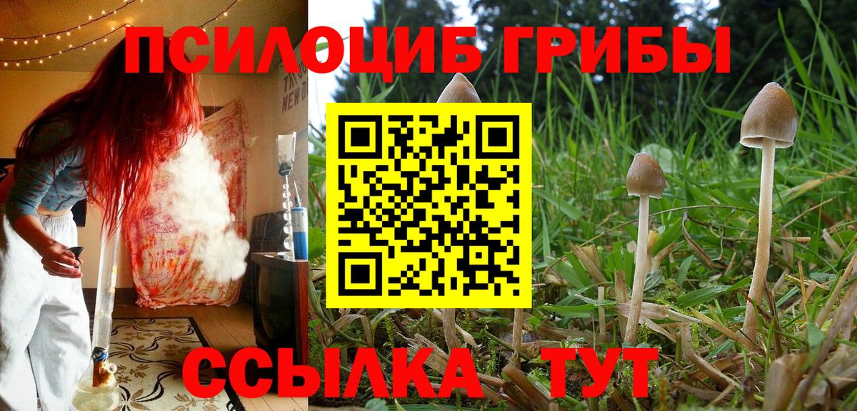 Нижнекамск  Галлюциногенные грибы GOLDEN TEACHER  Вход с VPN  Галлюциногенные грибы мицелий 
